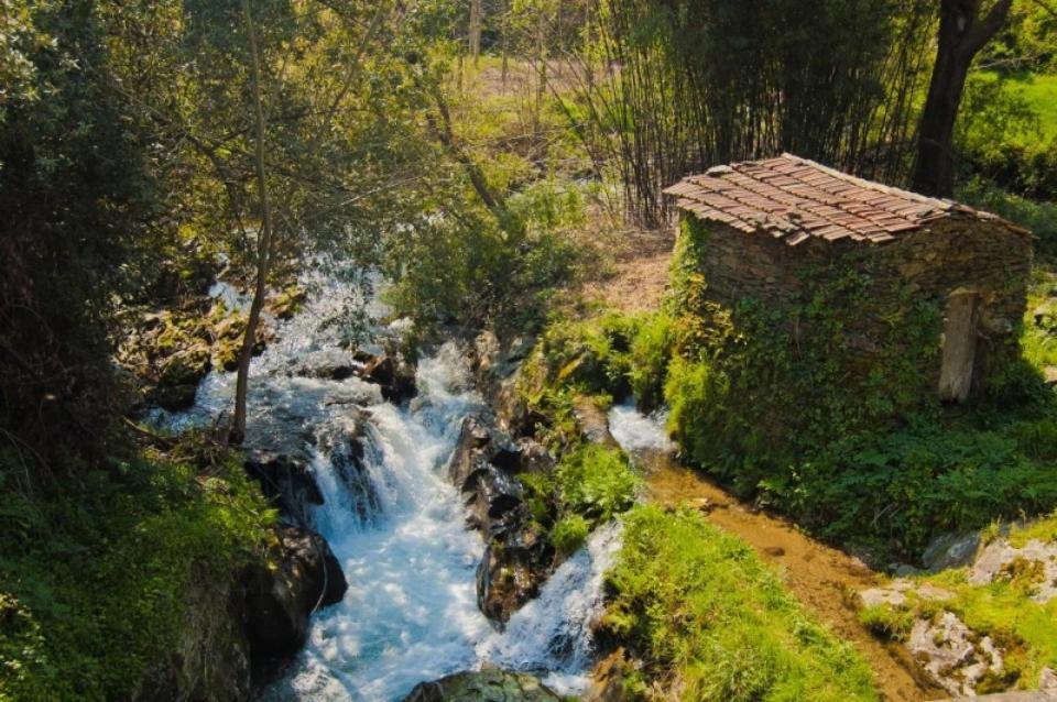 Paradise Property,Ideal Para Ferias Ou Lua De Mel Албергария-а-Велья Экстерьер фото